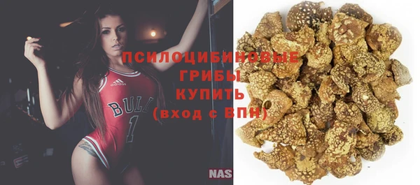 стаф Абаза